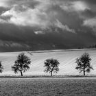 So schön ist der Schwarzwald im Winter