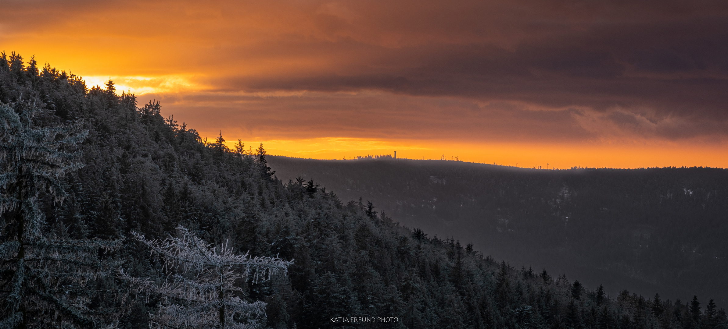 So schön ist der Schwarzwald im Winter