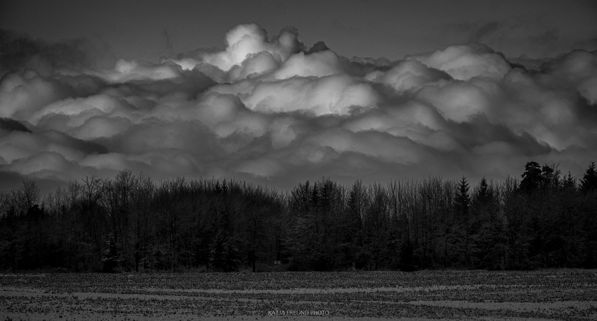 So schön ist der Schwarzwald im Winter