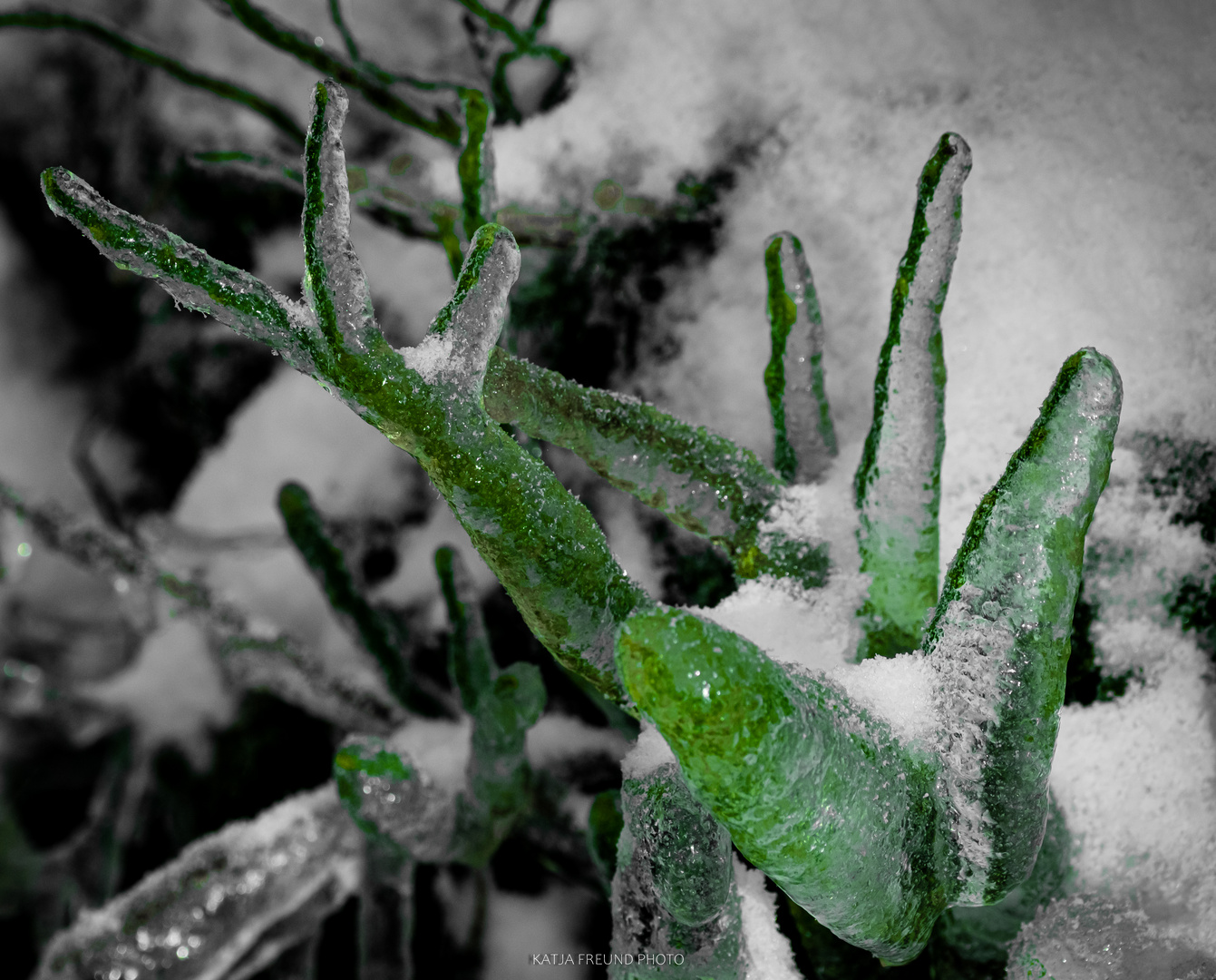 So schön ist der Schwarzwald im Winter