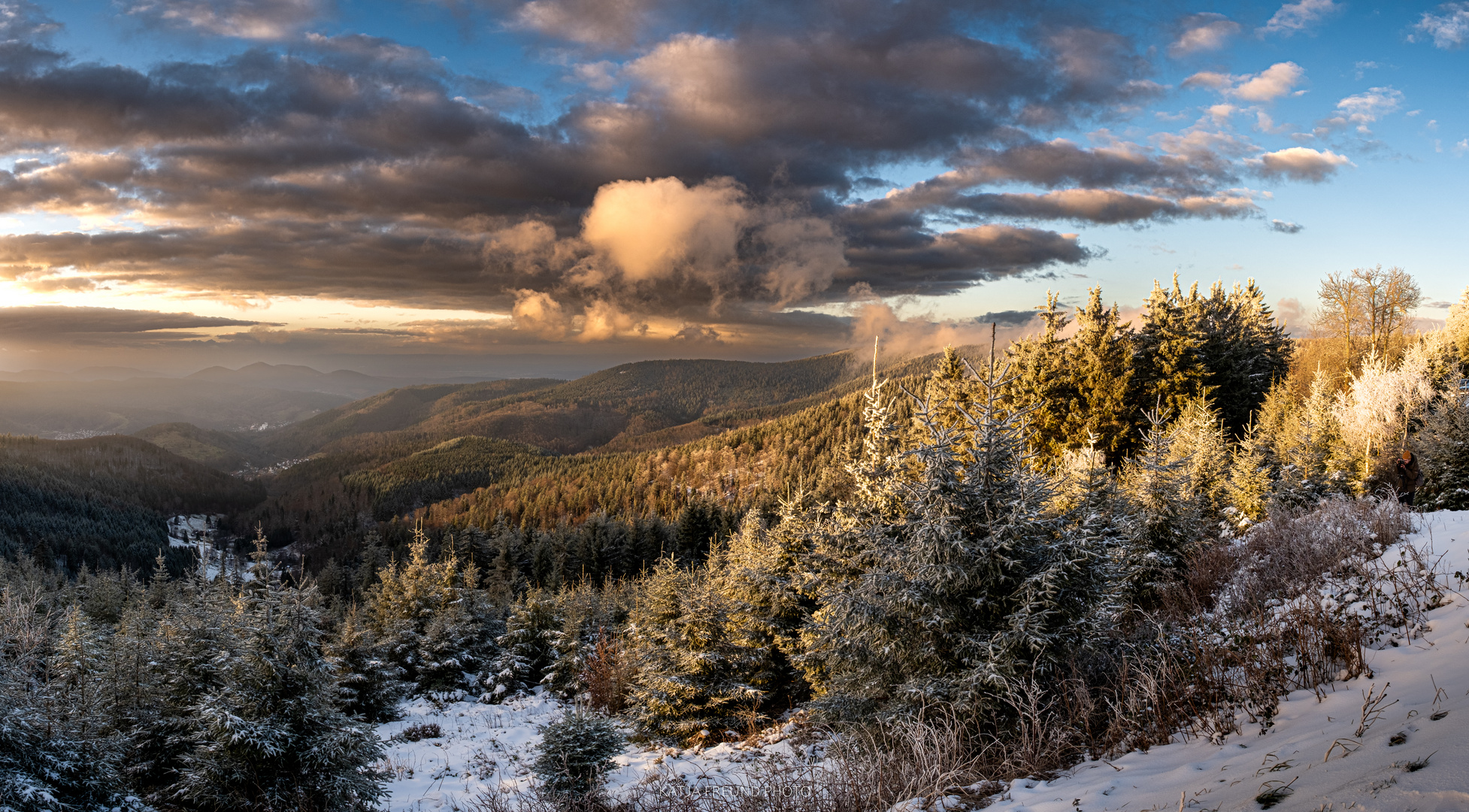 So schön ist der Schwarzwald im Winter