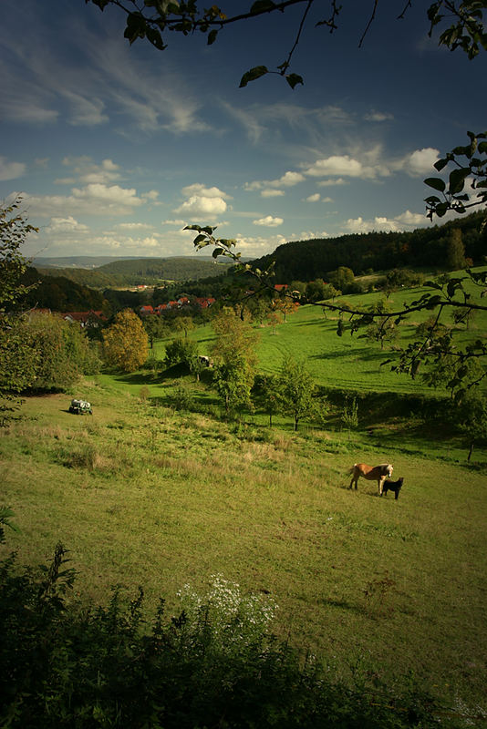 So schön ist der Spessart.