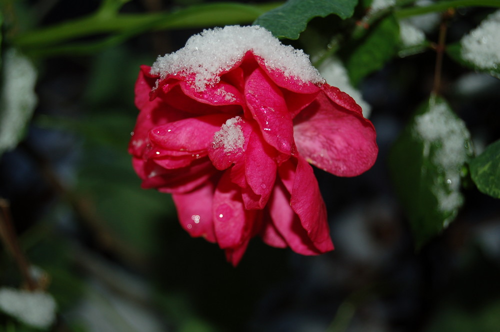 so schön ist der Winter