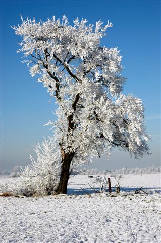 So schön ist der Winter.....