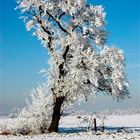 So schön ist der Winter.....