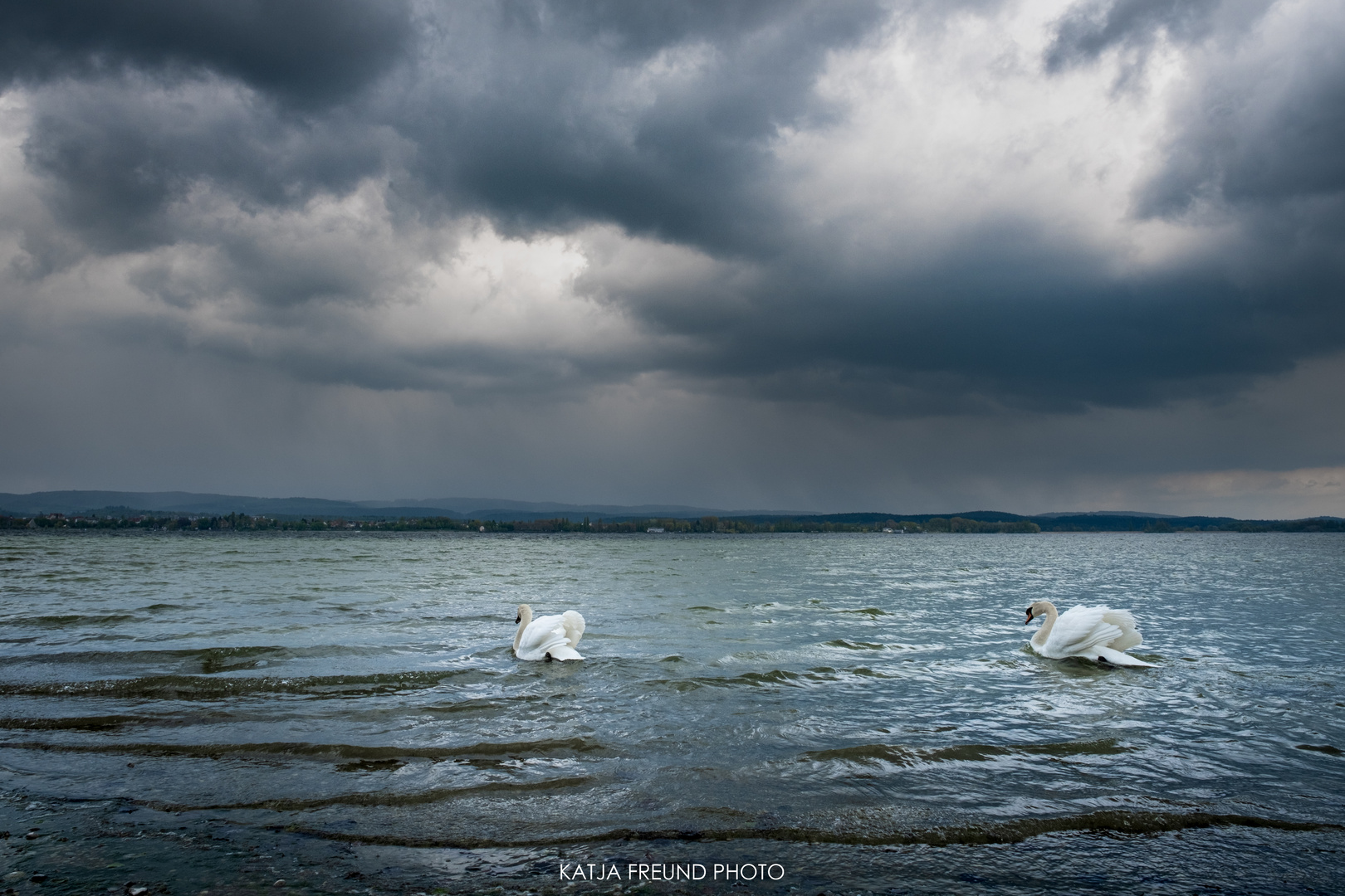 So schön ist es am Bodensee!!