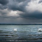 So schön ist es am Bodensee!!