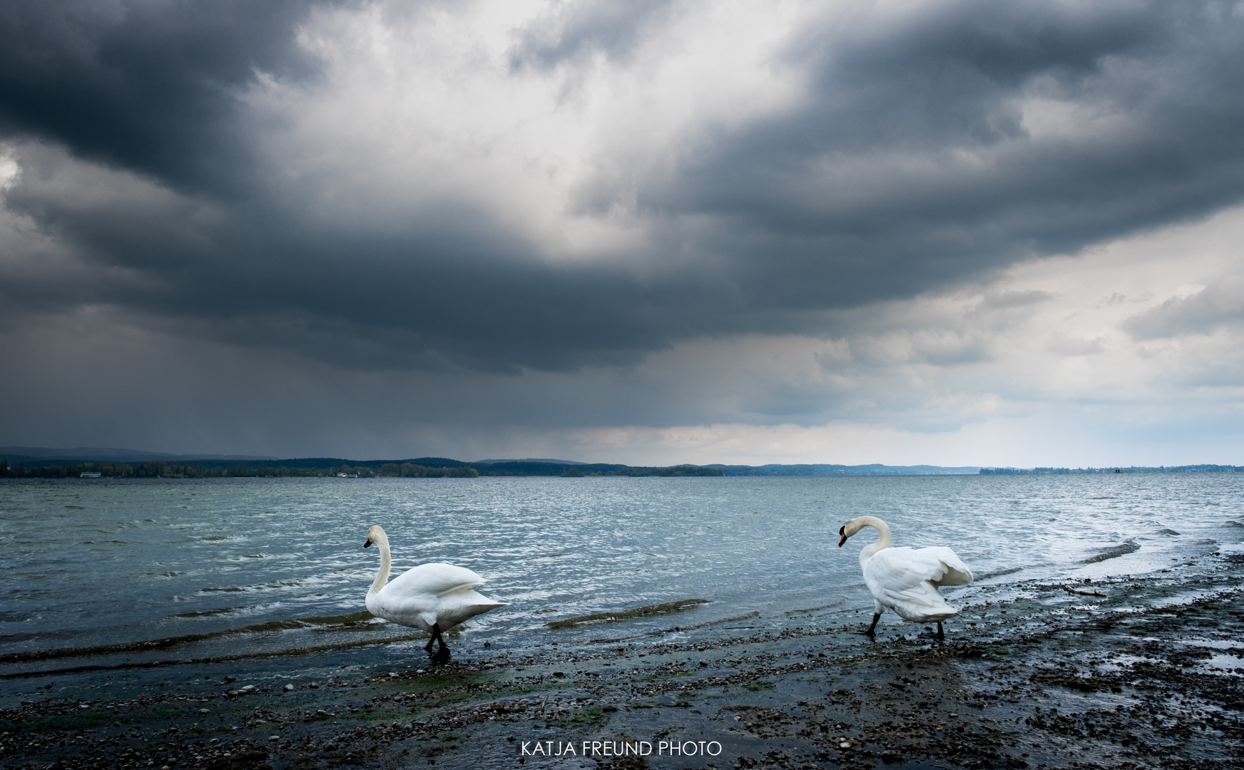 So schön ist es am Bodensee!!