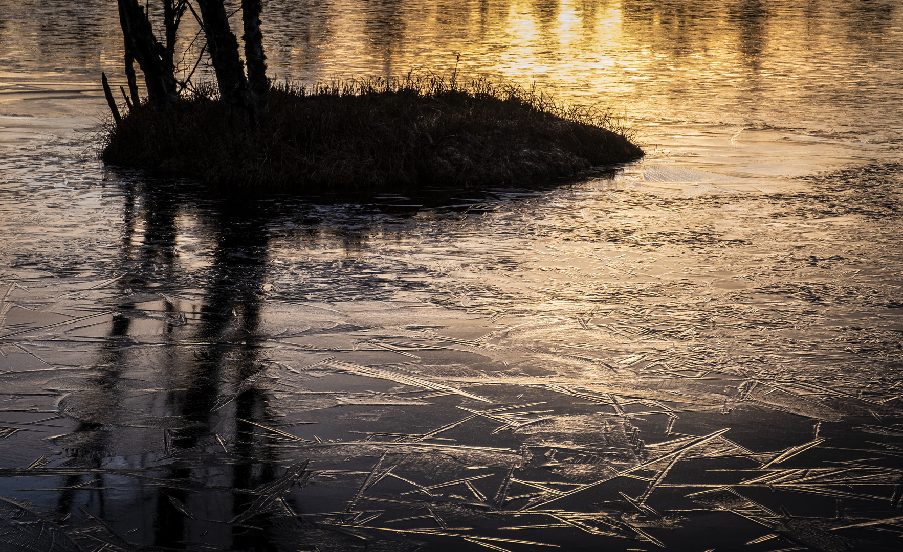 So schön ist es am Wildsee in Kaltenbronn