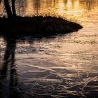 So schön ist es am Wildsee in Kaltenbronn