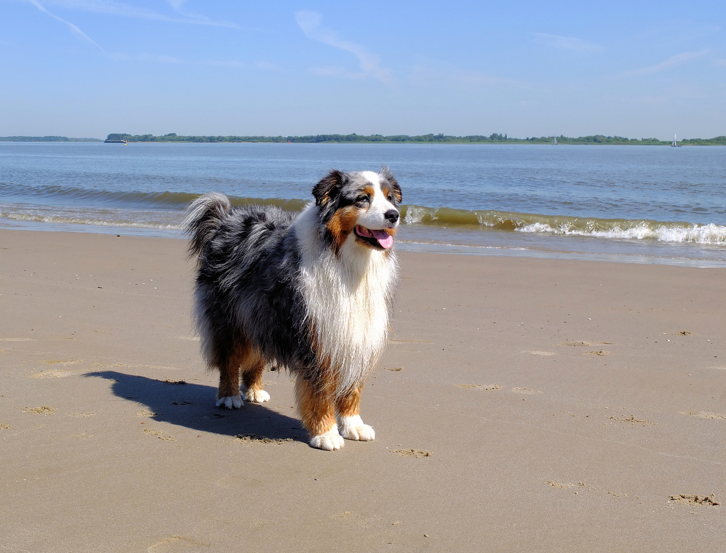 So schön ist es an der Elbe bei Hamburg