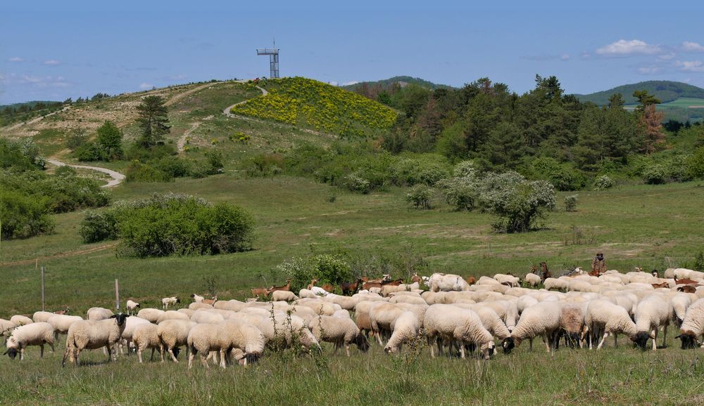 So schön ist es bei uns in der Rhön