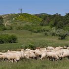 So schön ist es bei uns in der Rhön