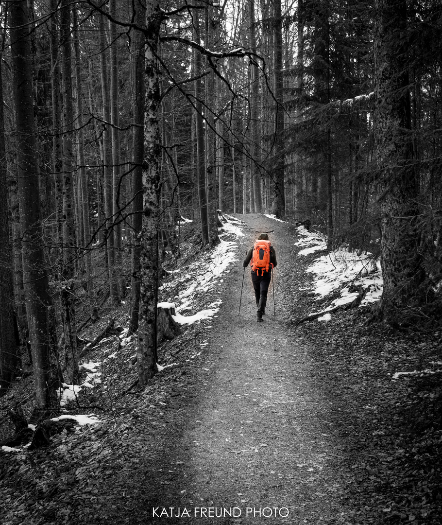 So schön ist es im Allgäu!!