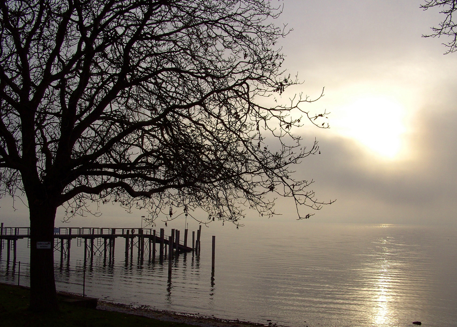 So schön ist es im Herbst am Bodensee bei Meersburg 1