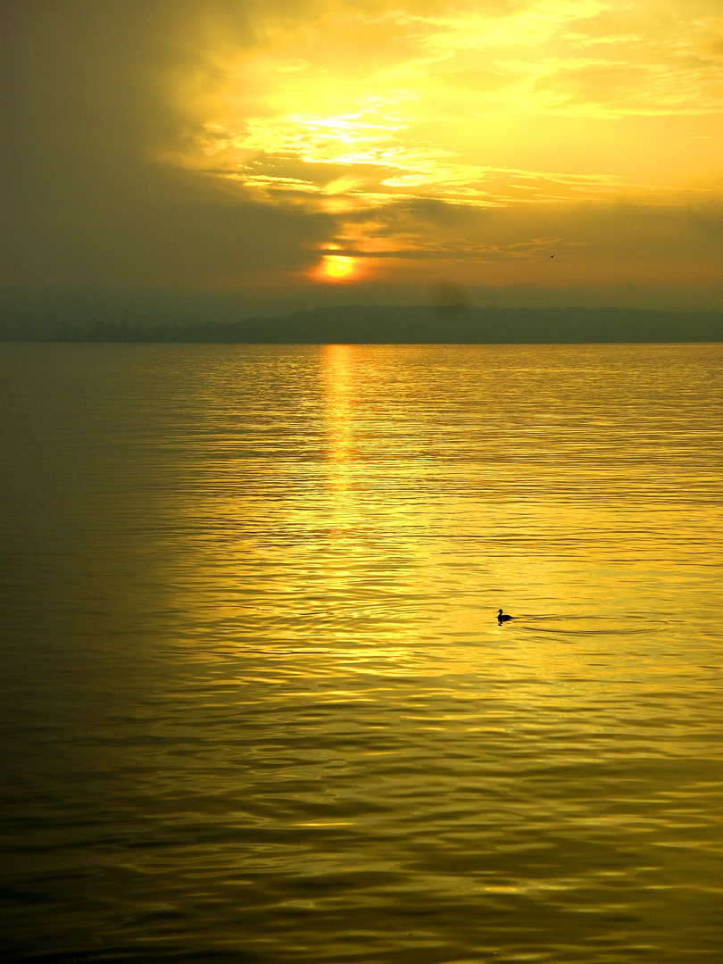 So schön ist es im Herbst am Bodensee bei Meersburg 3