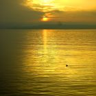 So schön ist es im Herbst am Bodensee bei Meersburg 3