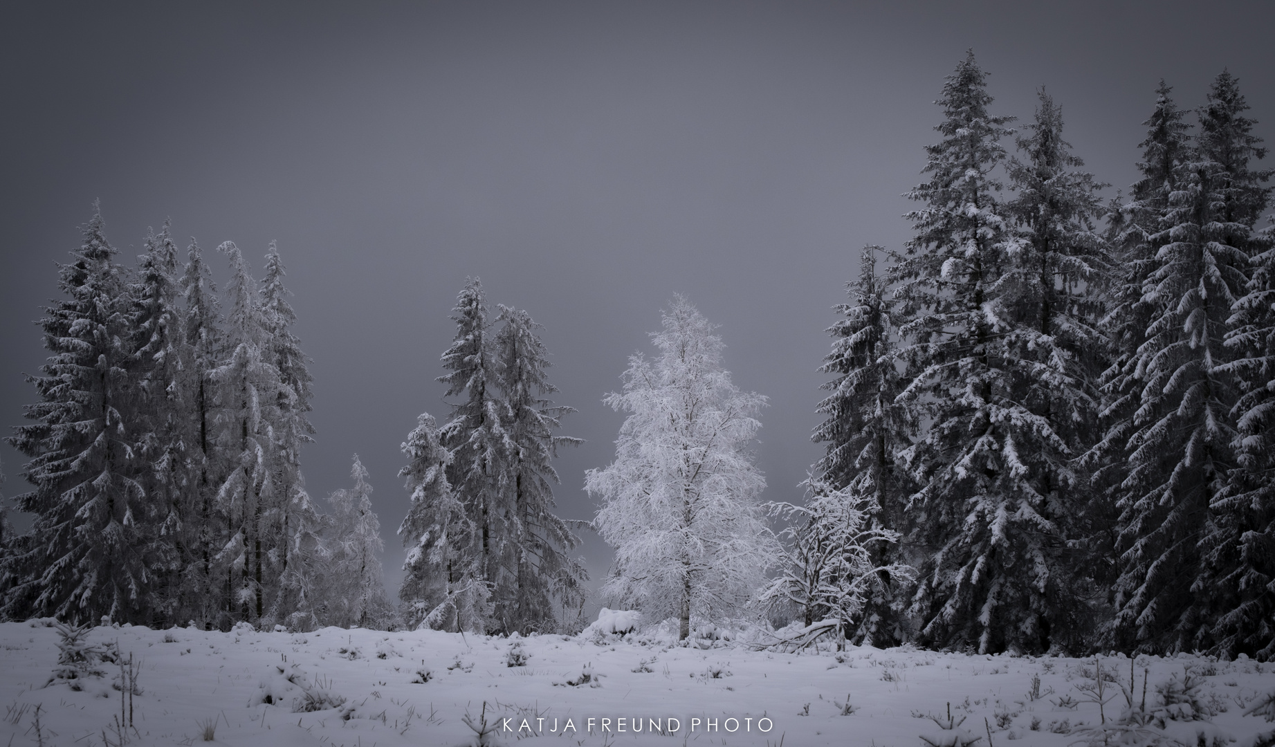 So schön ist es im Schwarzwald