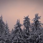 So schön ist es im Schwarzwald