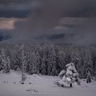 So schön ist es im Schwarzwald