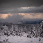 So schön ist es im Schwarzwald