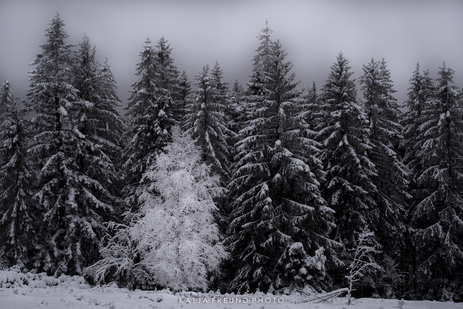 So schön ist es im Schwarzwald