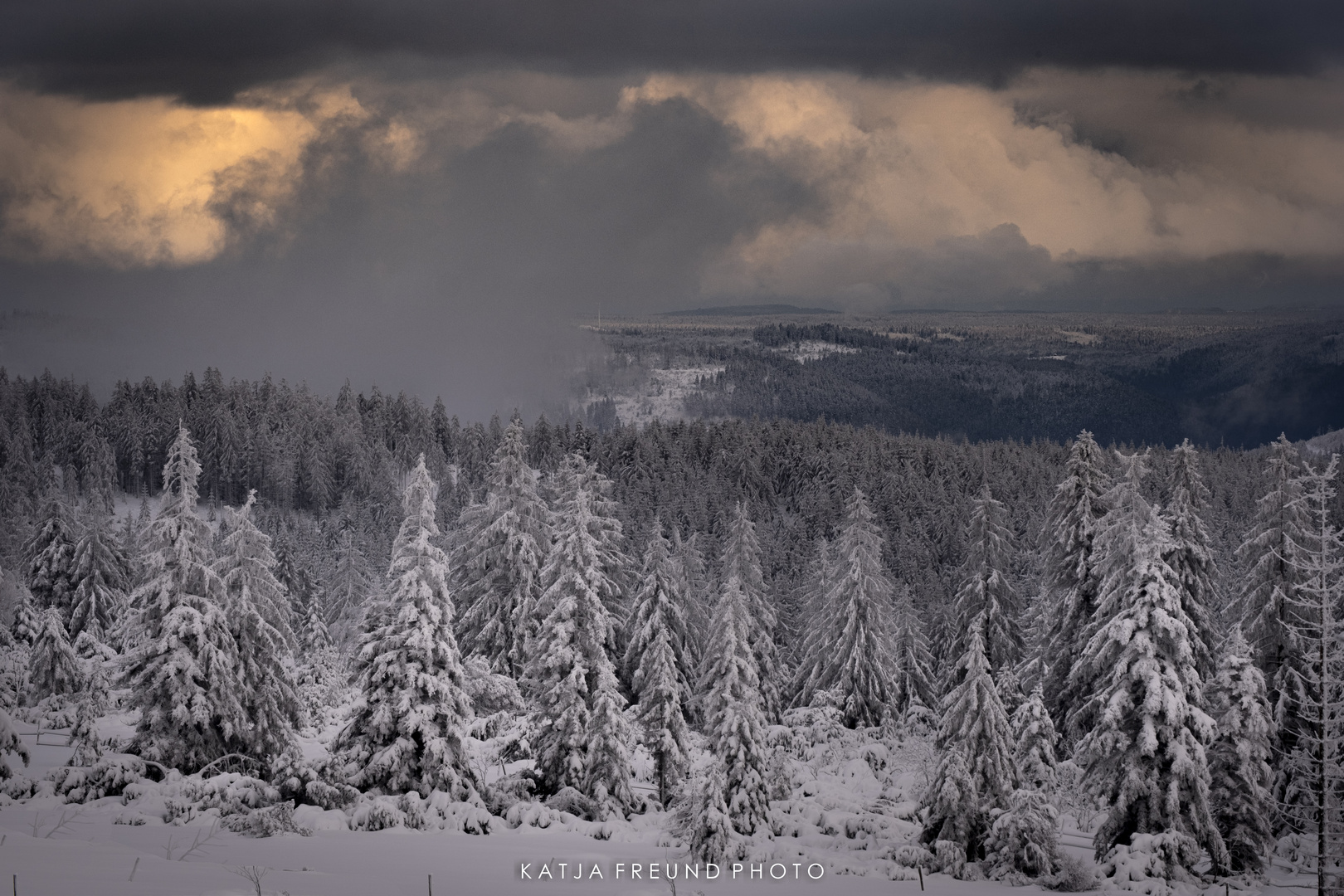 So schön ist es im Schwarzwald