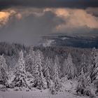 So schön ist es im Schwarzwald