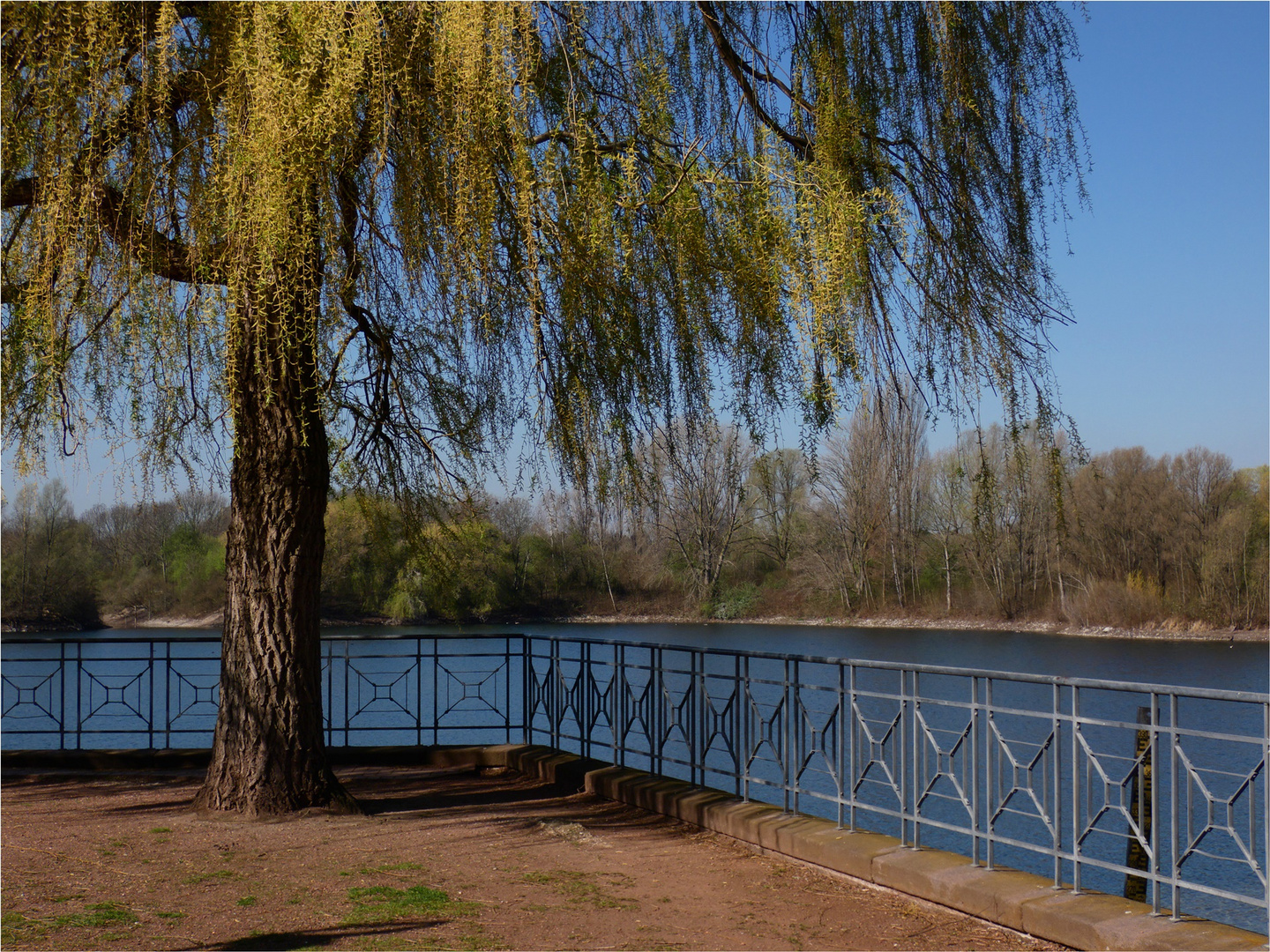 So schön ist es im Südpark (2)