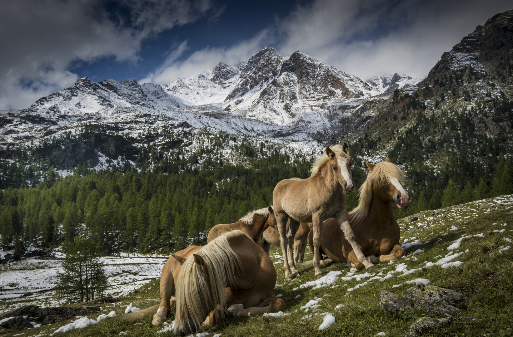 So schön ist es im Ultental