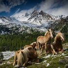 So schön ist es im Ultental