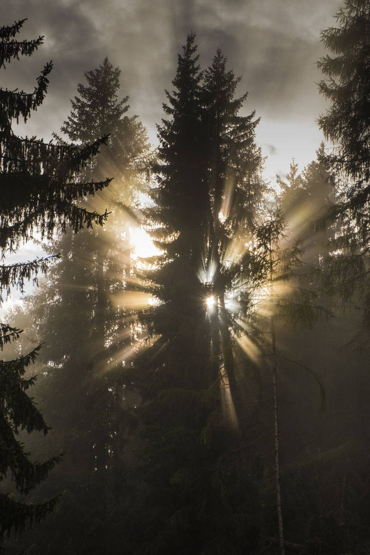 So schön ist es im Ultental