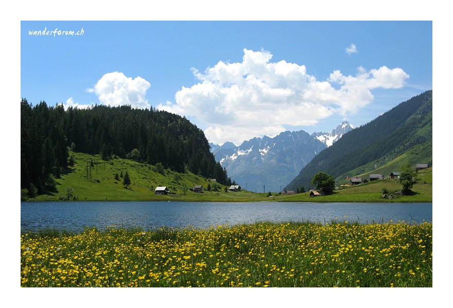 So schön ist es nur am Golzernsee!