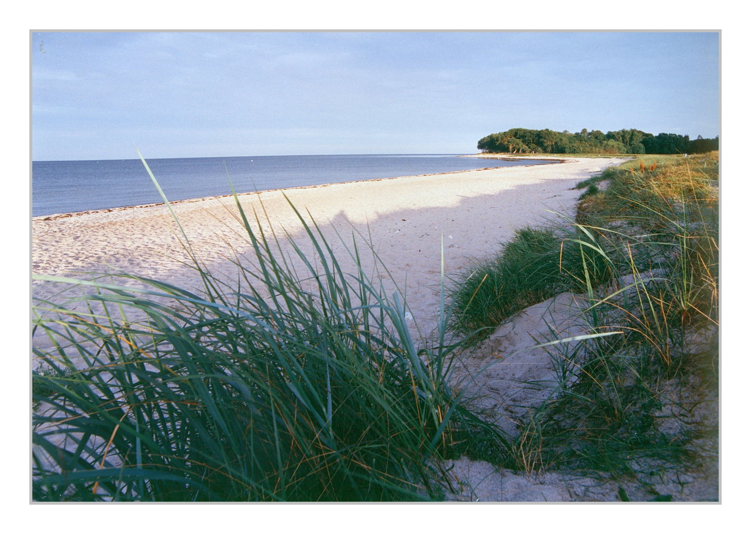 .... so schön ist sie, die Ostsee - Strand bei Maasholm