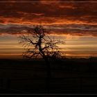 So schön ist unser Bayern um 7.30 Uhr morgens