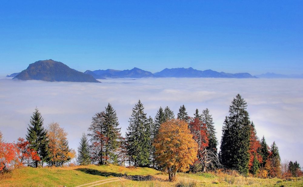 So schön ist Wandern im Herbst.