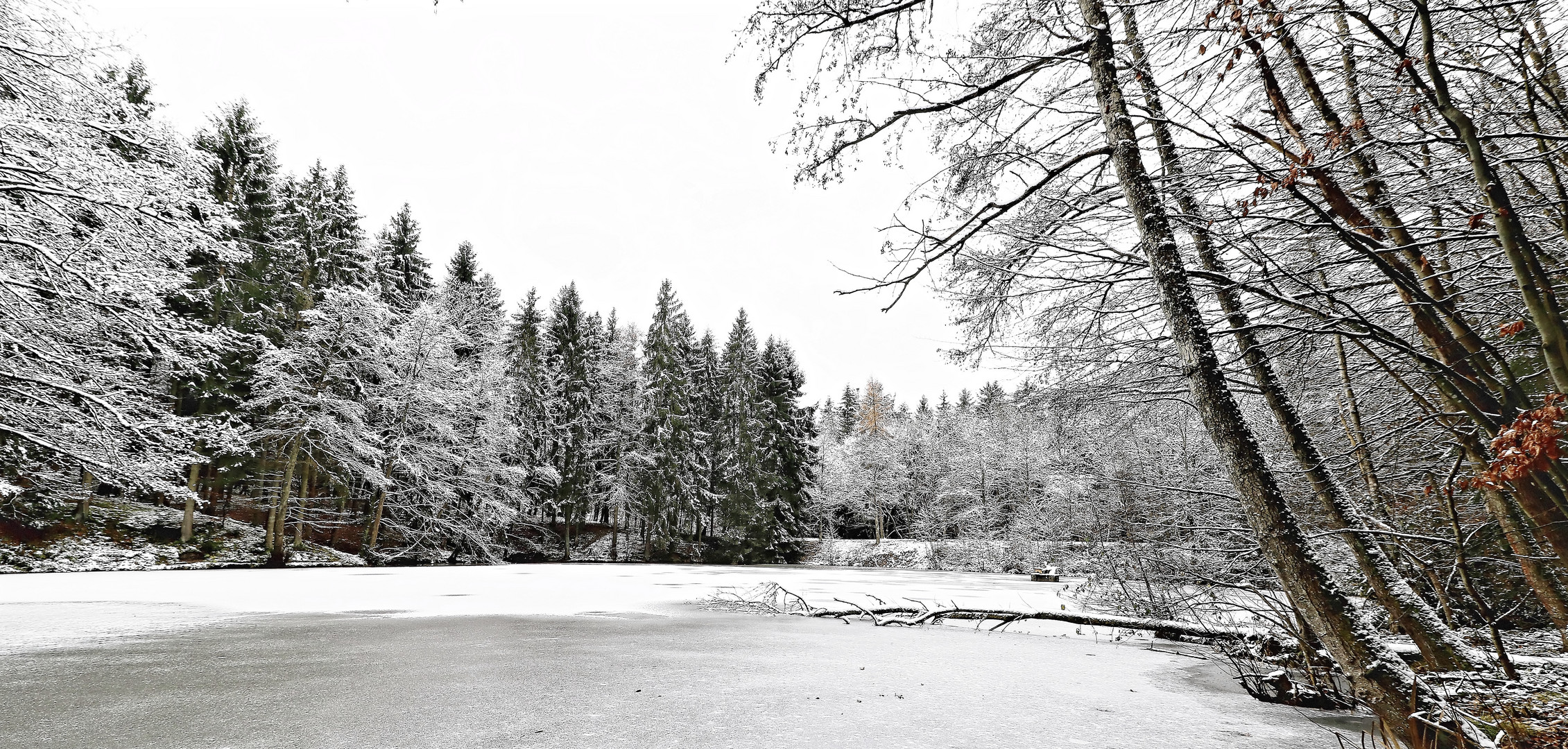  so schön kann auch der Winter sein