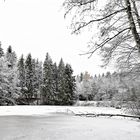  so schön kann auch der Winter sein