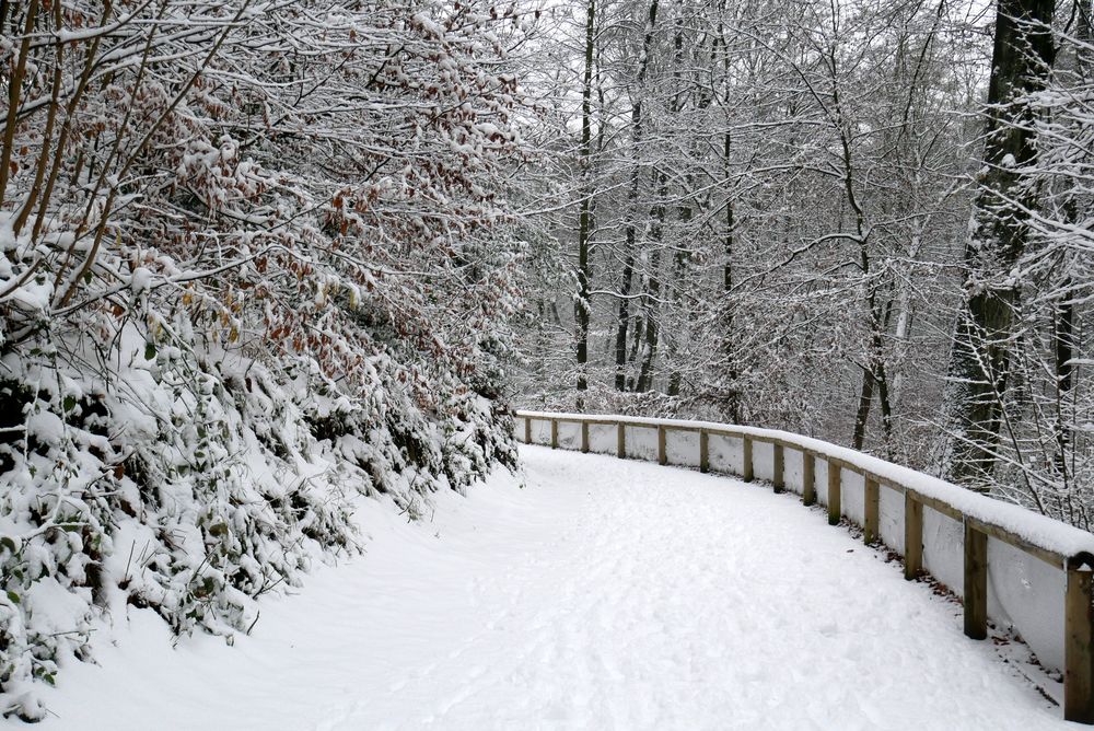 so schön kann auch ein Winter sein