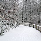 so schön kann auch ein Winter sein