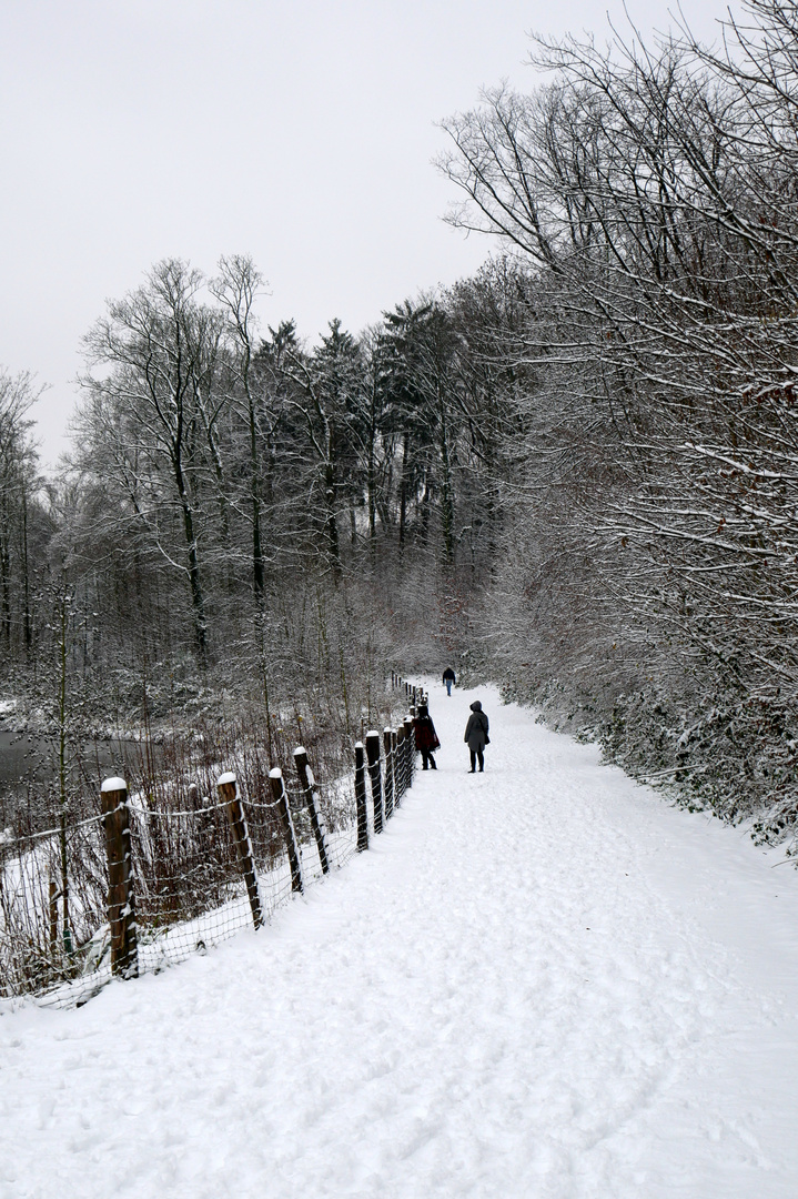 so schön kann auch ein Winter sein