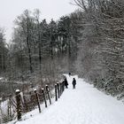 so schön kann auch ein Winter sein