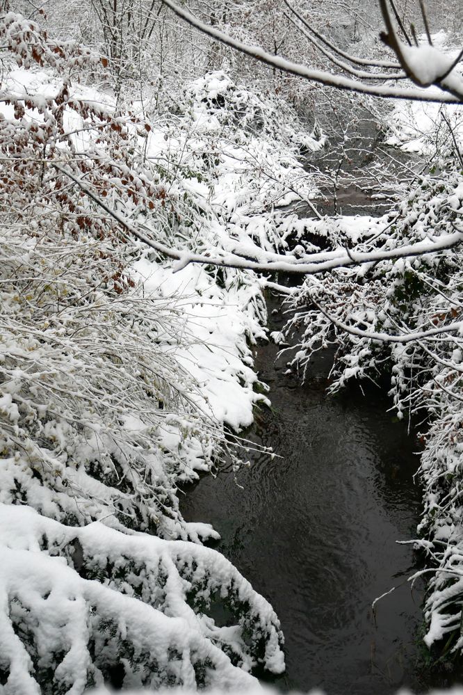 so schön kann auch ein Winter sein