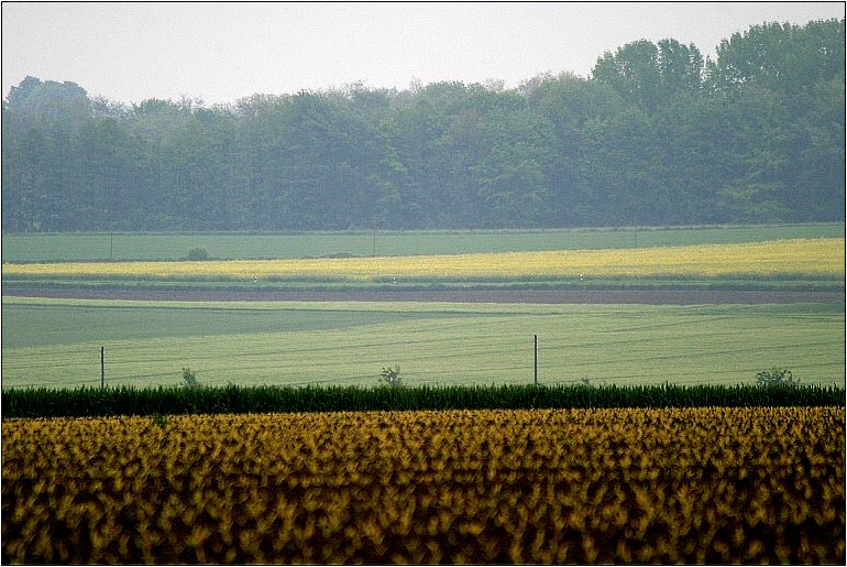 So schön kann das Ruhrgebiet sein... II