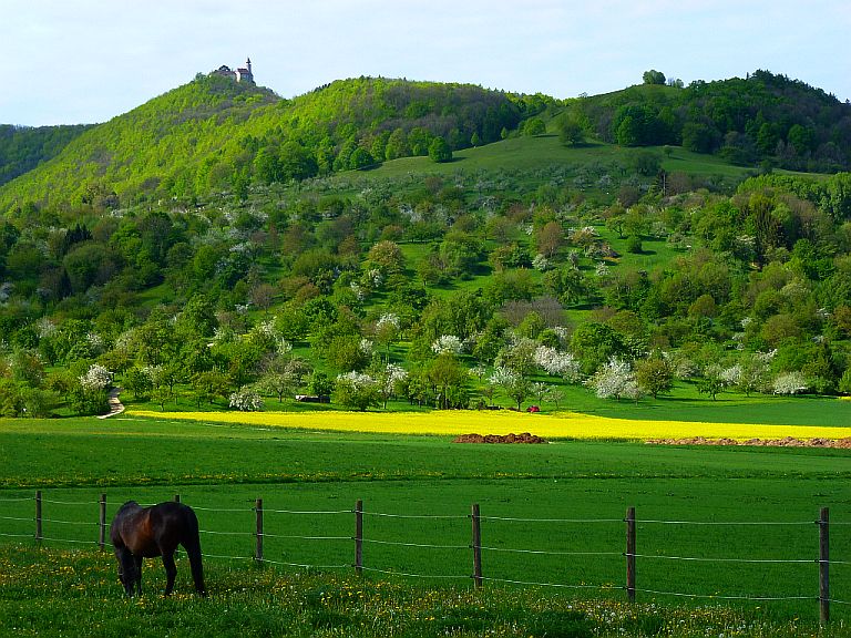 So schön kann der Frühling sein