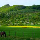 So schön kann der Frühling sein