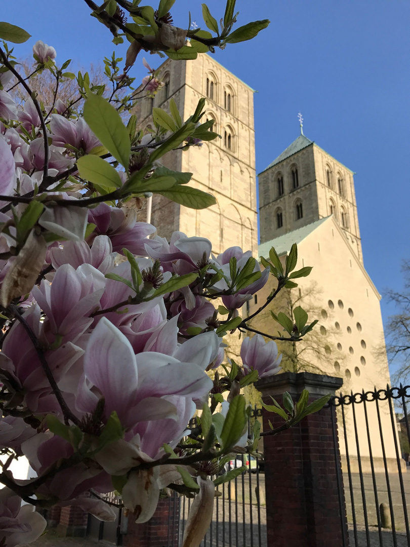 So schön kann der Frühling sein!