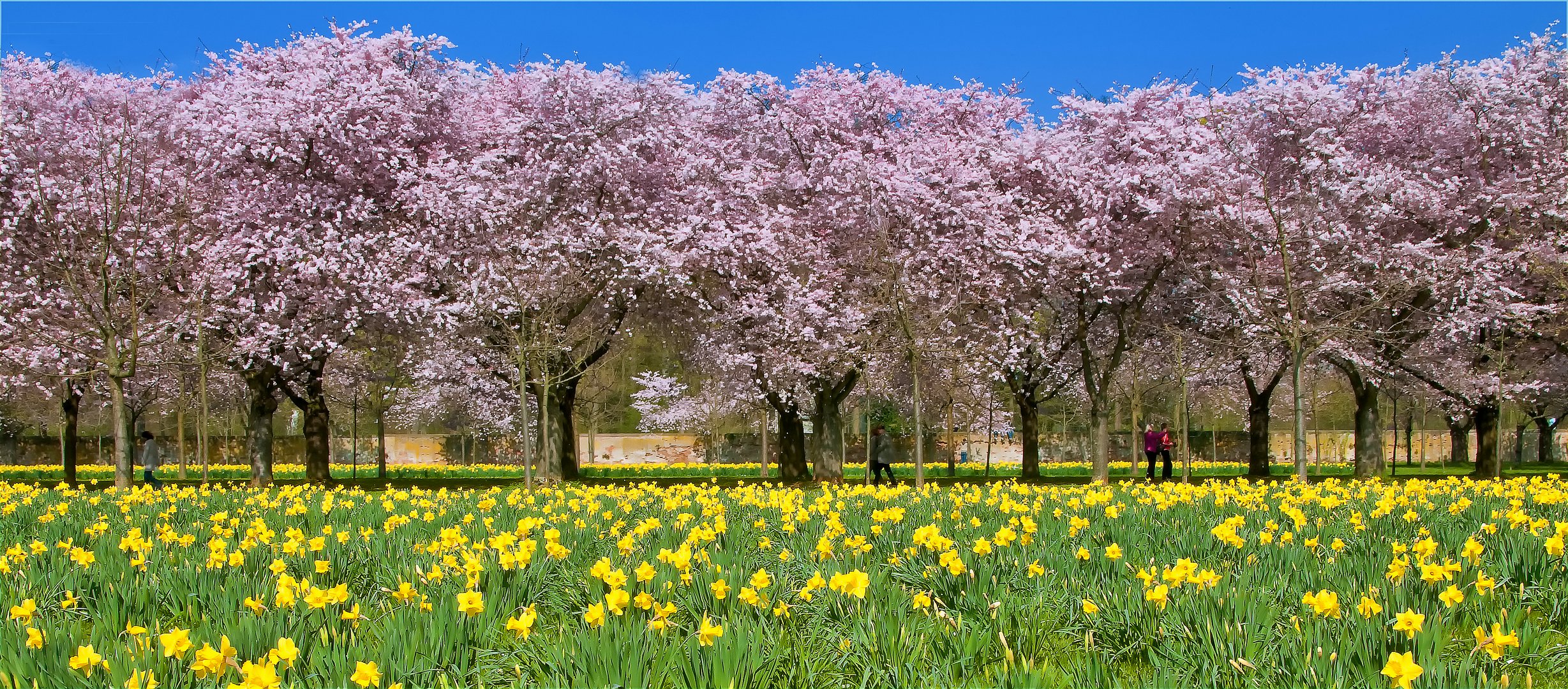 So schön kann der Frühling sein