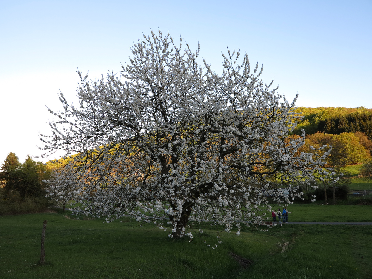 So schön kann der Frühling sein!