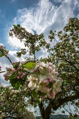 So schön kann der Frühling sein